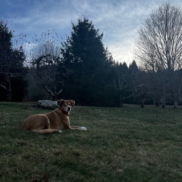 Meet your Posher, Matthew - Picture 2 of 2